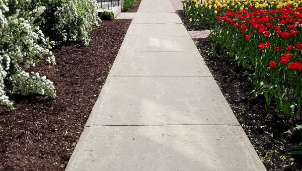 Cost of Sidewalk Slab Replacement in Camarillo