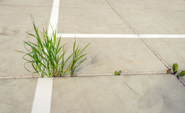 Concrete Parking Installation in Camarillo