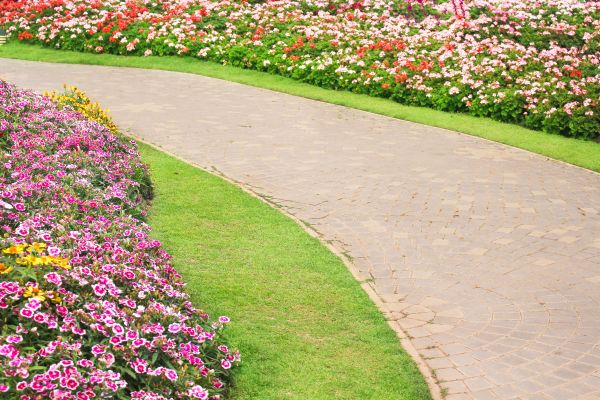 Concrete Walkway Service in Camarillo